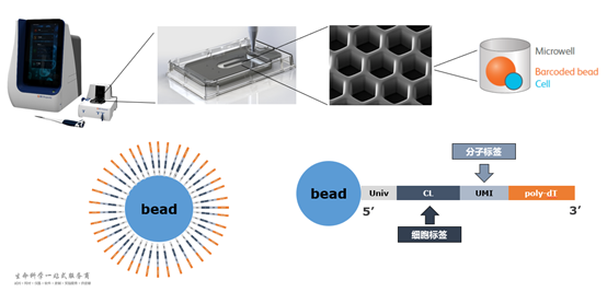 重磅！LabEx单细胞水平多组学分析平台上线啦！