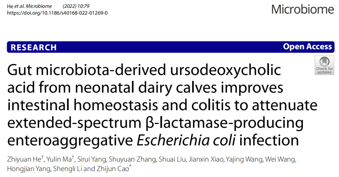 Microbiome | 中国农大科研团队发现犊牛肠道健康重要“标志物”