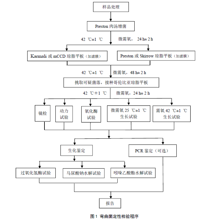 弯曲菌检验标准操作程序