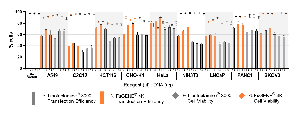 Lipofectamine®3000的优质替代品—Fugene 4K