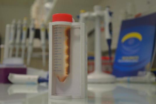 中英文说明丨艾美捷 Mag 4C保存缓冲液