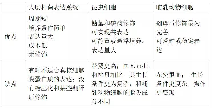 标签蛋白纯化：原核表达载体构建方法详解