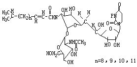 艾美捷衣霉素Tunicamycin 相关参数和引用文献 艾美捷衣霉素Tunicamycin 相关参数和引用文献