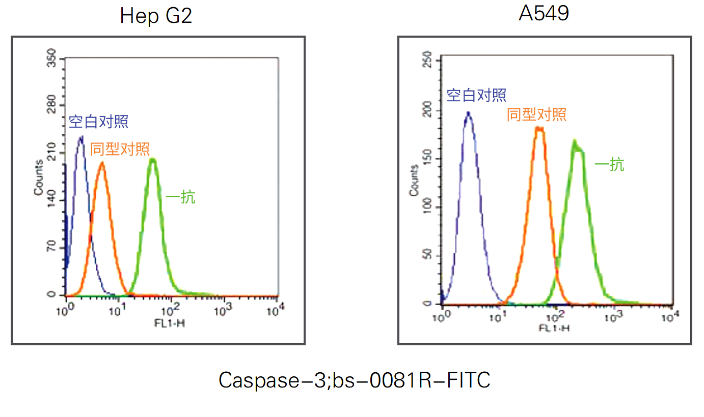 流式常用同型对照
