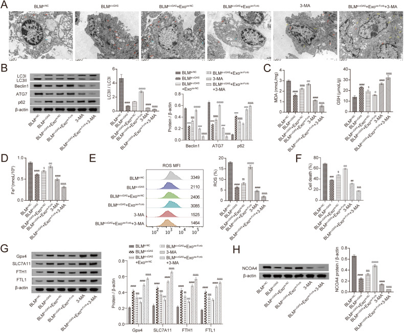 外泌体技术服务