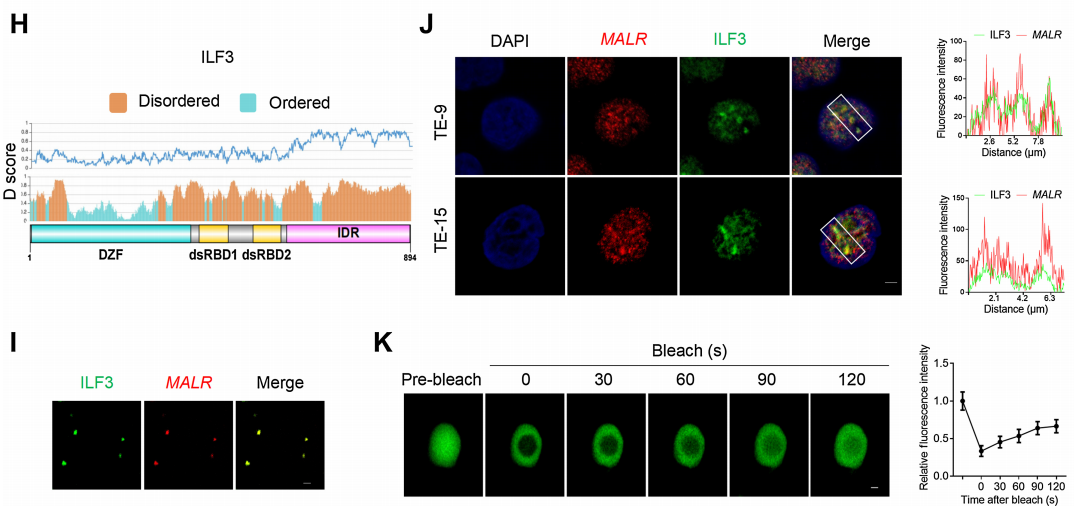 【客户文献解读,IF>11】食管癌的