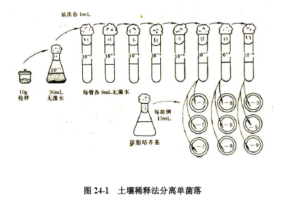 稀释法平板法分离土壤中的微生物