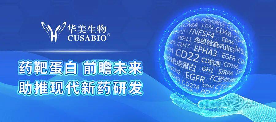 CD47：下一个肿瘤免疫研发热点