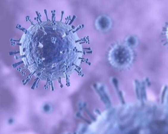 新型疫苗策略利用T细胞来为机体提供抵御流感的免疫保护