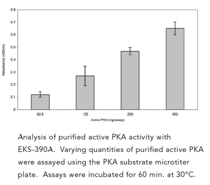 比色法高灵敏度艾美捷PKA激酶活性试剂盒 比色法高灵敏度艾美捷PKA激酶活性试剂盒