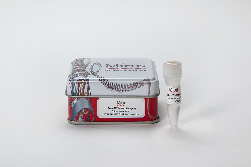 科研小知识∣昆虫细胞的转染试剂应当如何选择？