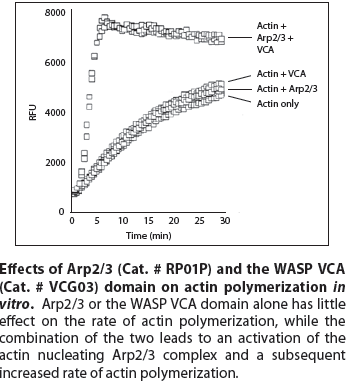 Cytoskeleton促销又双叒叕来啦，这次竟然是……
