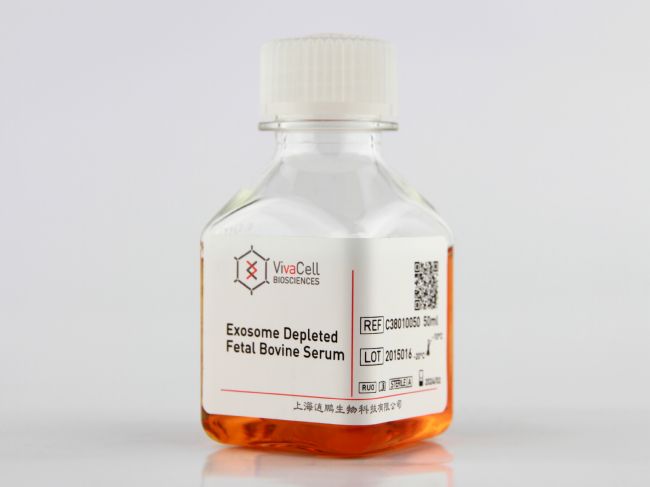 去外泌体血清与技术服务暑期大放价