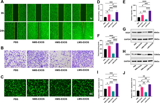 外泌体技术服务 外泌体技术服务