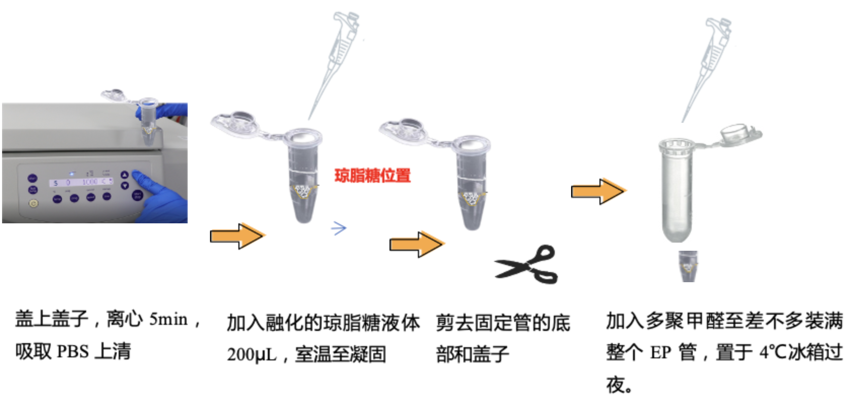 新闻图片21