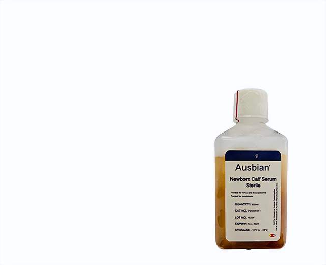 铁强化牛血清，让细胞更强壮