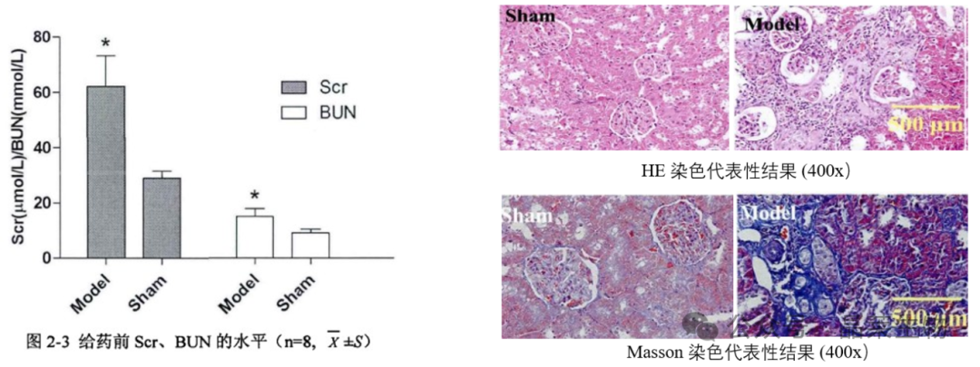 1709541712106555.png 新闻图片10