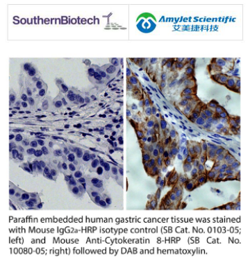 SouthernBiotech艾美捷 小鼠IgG2a UNLB说明书 SouthernBiotech艾美捷 小鼠IgG2a UNLB说明书