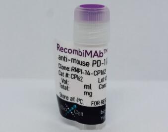 BioXCell RecombiMAb小鼠PD-1(CD279)抗体说明书