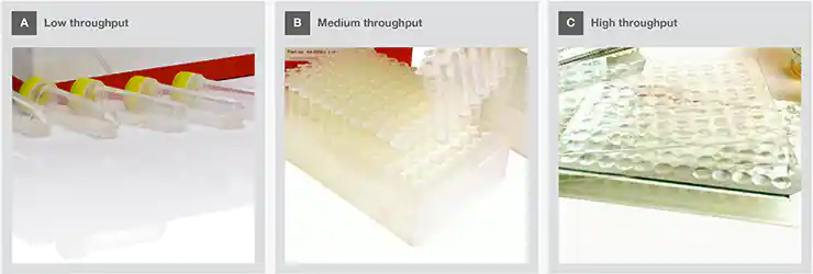 1699321388796421.png 1699321388796421.png