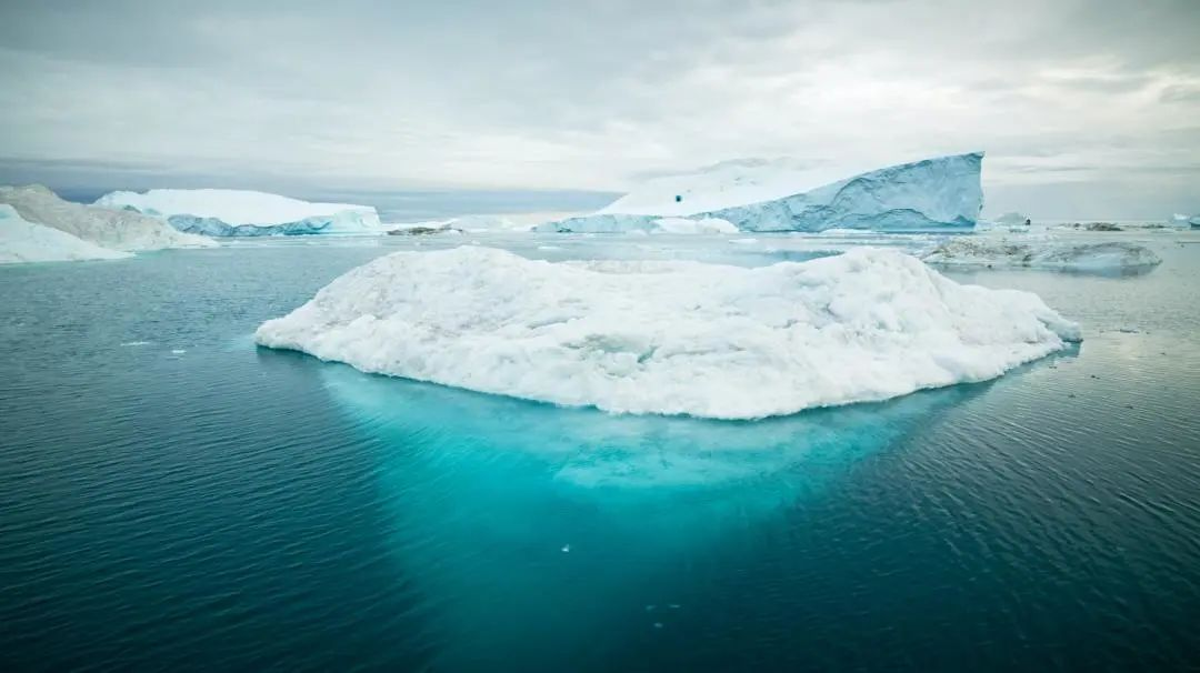  TSQ9610 新品尝鲜 | TSQ9610助力极地环境污染物