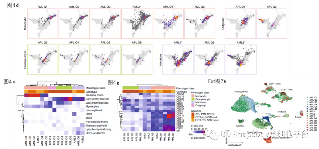 BD Rhapsody AbSeq + WTA + TTA + SMK + FACS Aria II助力白血病研究