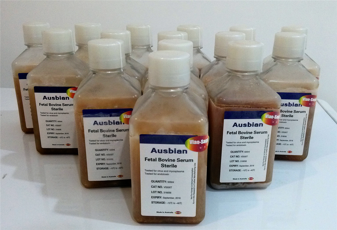 全球胎牛血清状况一瞥