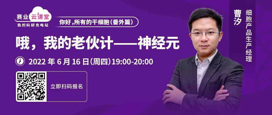 神经元培养何能妙手？唯先勤练本手【直播课堂】