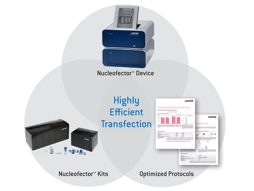 你必须知道的高效细胞转染方法——电转