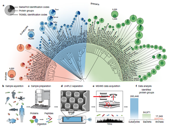 quan球组学大咖2020新进展, Orbitrap助力ding级研究
