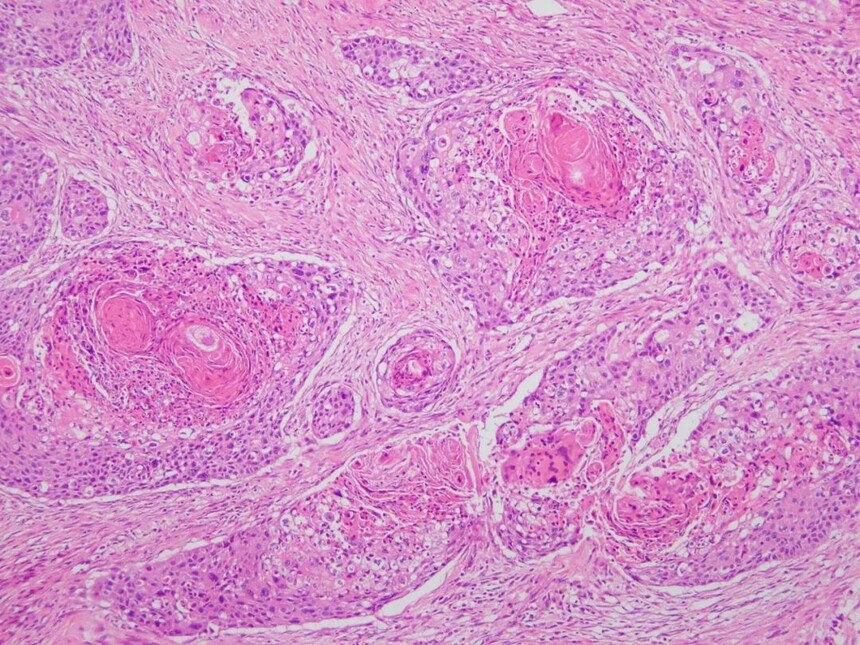 1693384405745481.jpg 1693384405745481.jpg