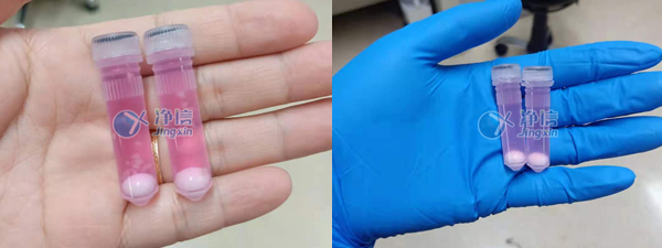 净信单细胞悬液制备仪|制备小鼠大脑单细胞悬液