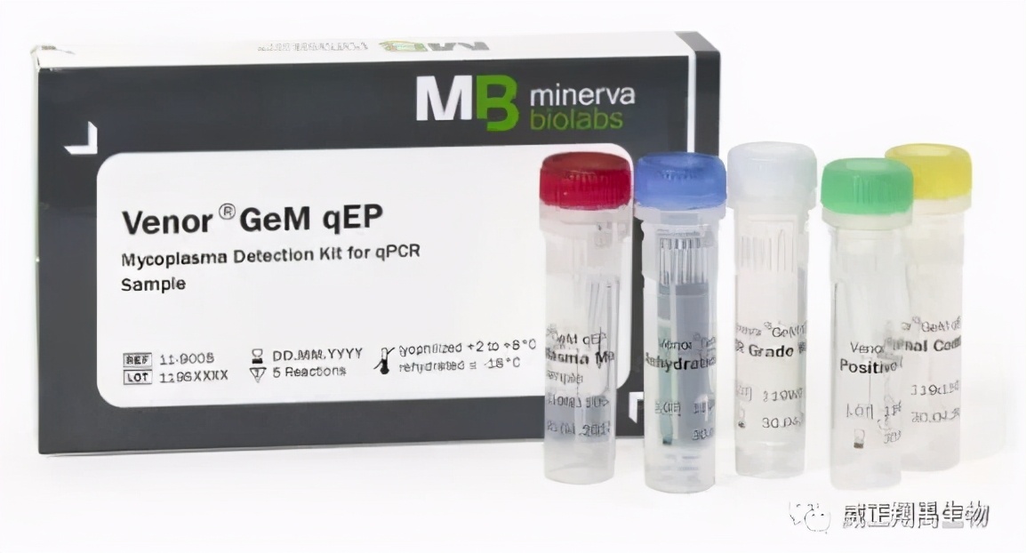 『支原体qPCR检测』的方法学验证