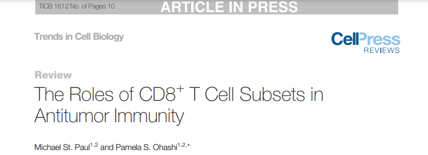 必追的国自然热点：CD8+ T细胞亚群在抗肿瘤免疫中的作用