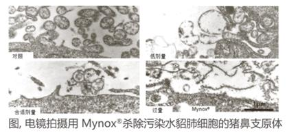 你用的支原体祛除剂能杀死支原体吗？
