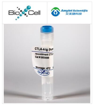 艾美捷BioXCell InVivoMAb重组CTLA-4-Ig(人/人-融合蛋白) 艾美捷BioXCell InVivoMAb重组CTLA-4-Ig(人/人-融合蛋白)