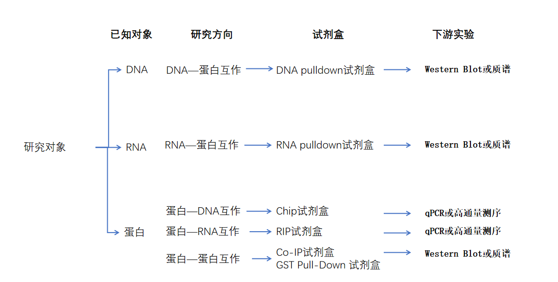 新闻图片8