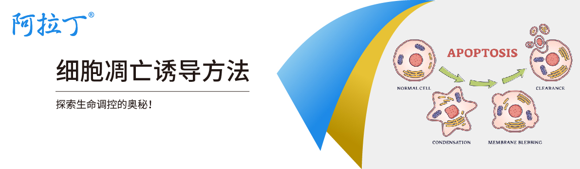 【阿拉丁】细胞凋亡诱导方法