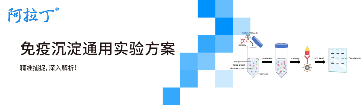 【阿拉丁】免疫沉淀通用实验方案