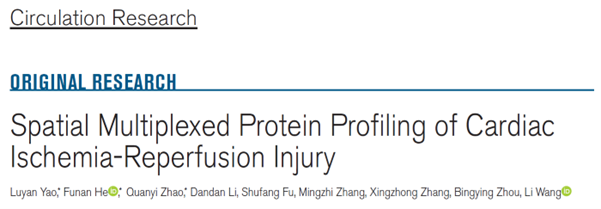 【Circulation Research】(IF 23.2) | 组织成像质谱流式技术助力心脏缺血再灌注损伤研究