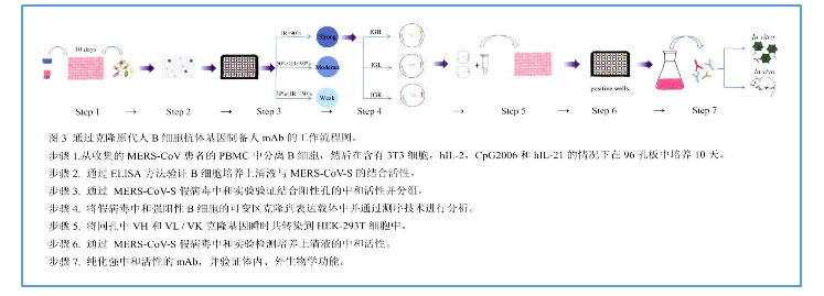 新闻图片11