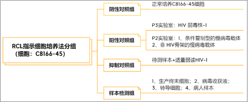 复制型慢病毒（RCL）的不同检测方案解析