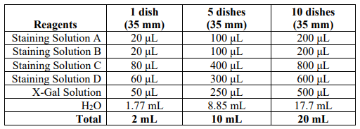 细胞衰老β-半乳糖苷酶染色试剂盒丨艾美捷解决方案