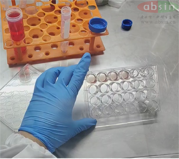 类器官传代培养全流程及答疑解惑