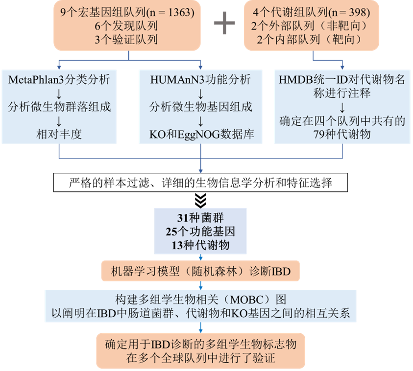 新闻图片2