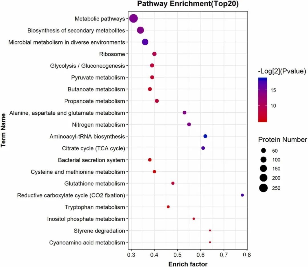 表观实验的验证