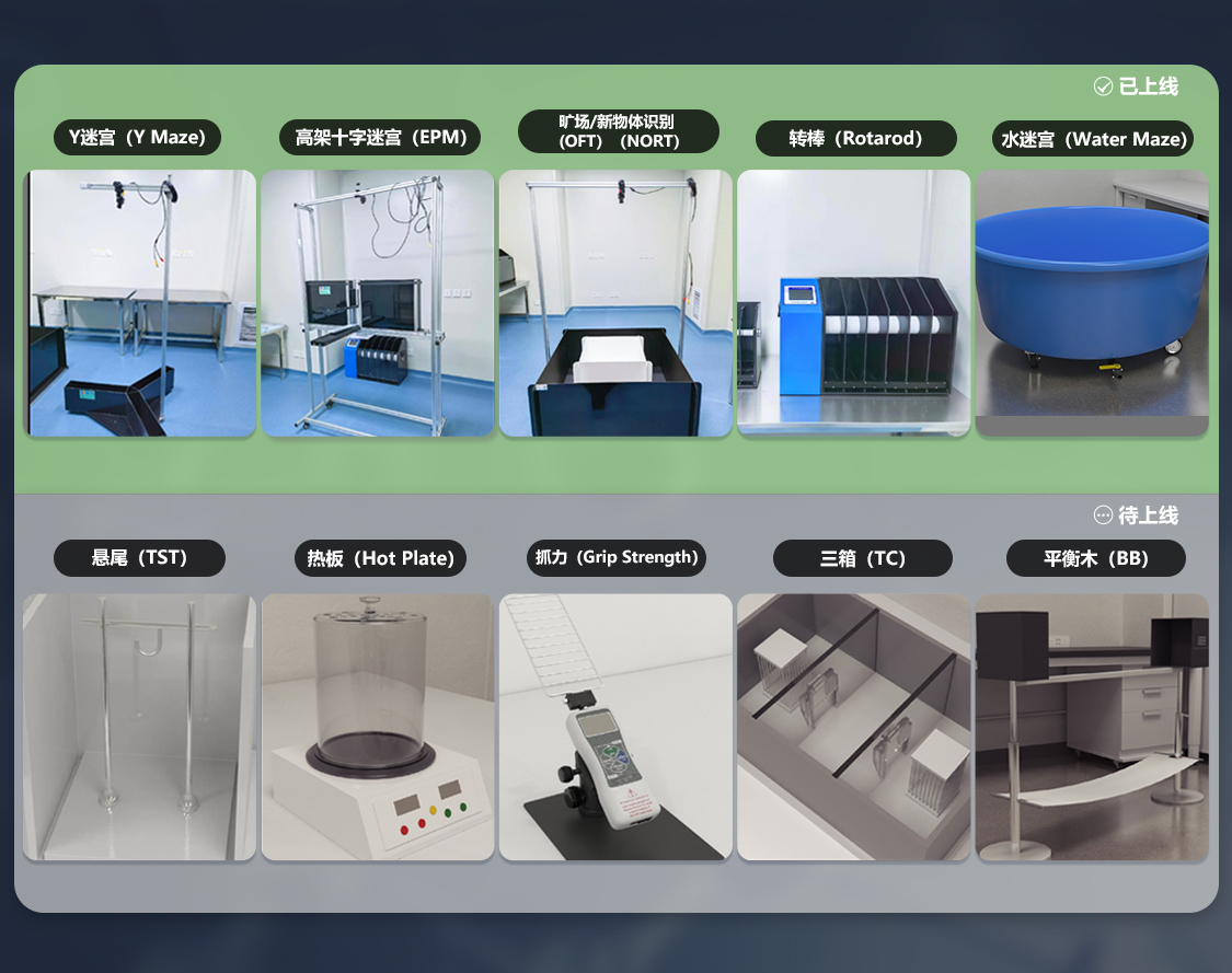 大小鼠行为学解决方案7折上新