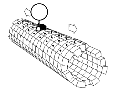 驱动蛋白（Kinesin）活性检测试剂盒