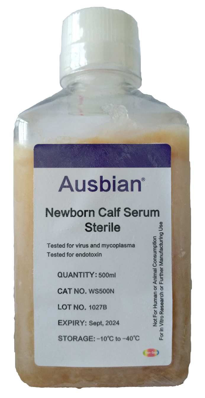 从「蛋白检测指标」评估新生牛血清品质