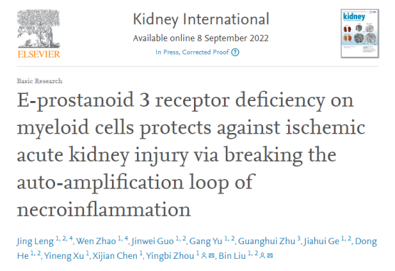 汕头大学研究团队揭示急性肾损伤发病机制